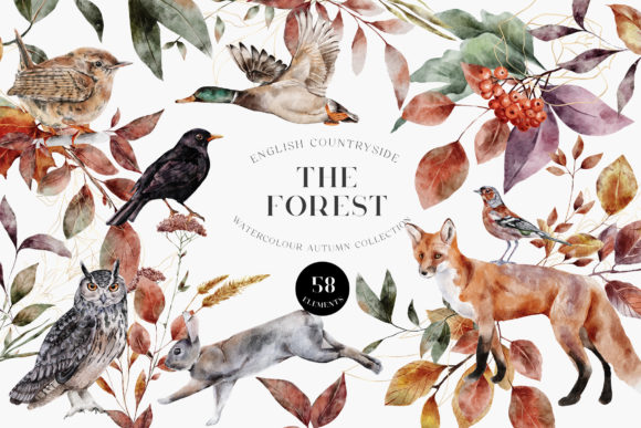 Bring Autumn to Life with Forest Animals Watercolor PNG