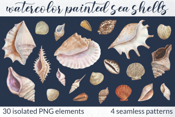 Coastal Elegance: The Watercolor Sea Shells Collection