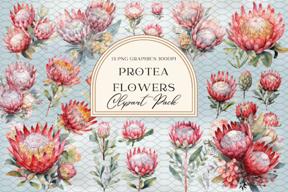 Elevate Your Brand with Watercolor Protea Flower Sublimation