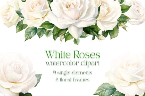 Watercolor White Roses Clipart: A Designer's Guide to This Floral Set